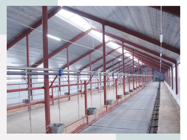 Строительство коровников в Бердске от 625 руб.