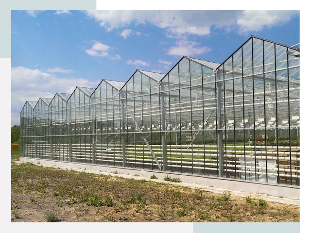 Строительство теплиц в Бердск от 625 руб. за м²